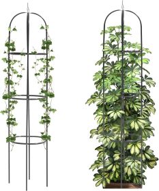 Garden Obelisk Trellis for Climbing Plants Outdoor 165cm Rose Bush Sqaure Trellis for Pots Rustproof Metal Plant Flower Trellises for Vine Jasmine Sup (Style: Round)